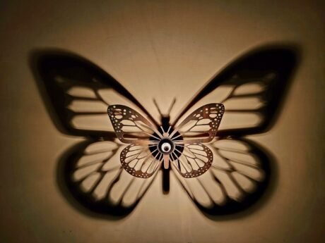 butterfly_x_9c70d5e6-8845-44ff-8b37-e2f62491ba3e-scaled-1.jpg