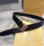 Best Burbery Belt - Image 10
