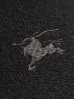Best Burberry Hoodie - Image 9