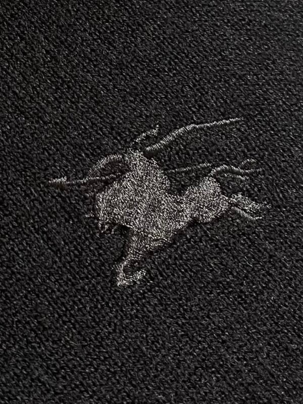Best Burberry Hoodie - Image 6