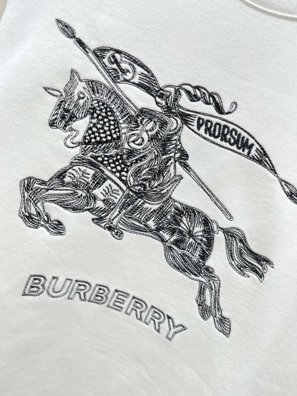 Best Burberry Hoodie - Image 5
