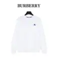 Best Burberry Hoodie
