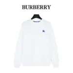 Best Burberry Hoodie