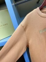 Best Burberry Hoodie - Image 4
