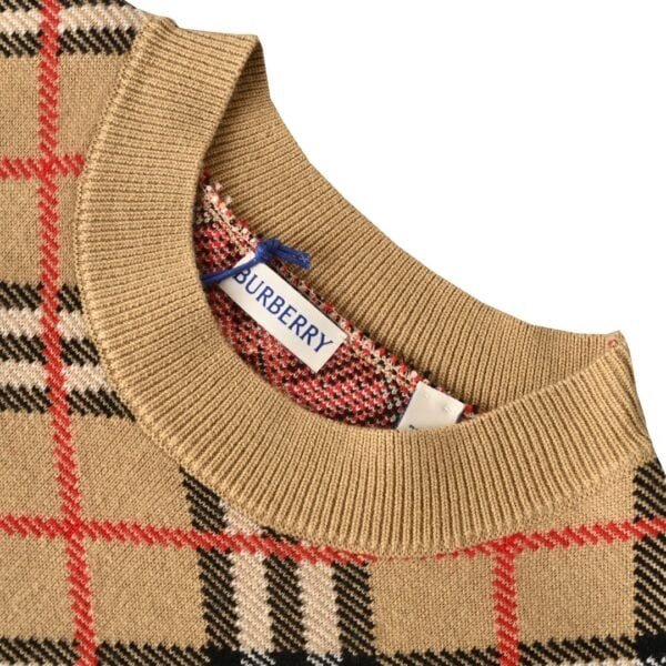 Best Burberry Hoodie - Image 6