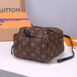 LV Palm Springs Mini Backpack - Image 6