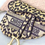 Dior SADDLE BAG - Image 6