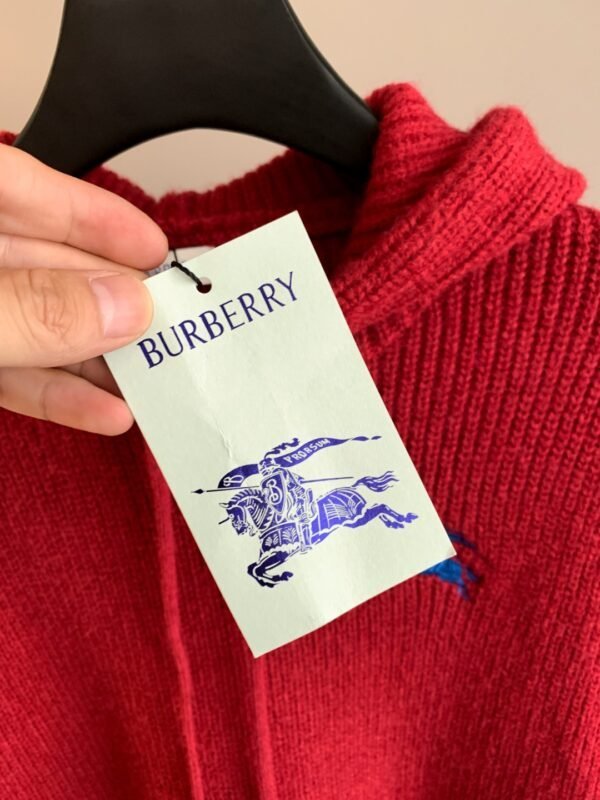 Best Burberry Hoodie - Image 5
