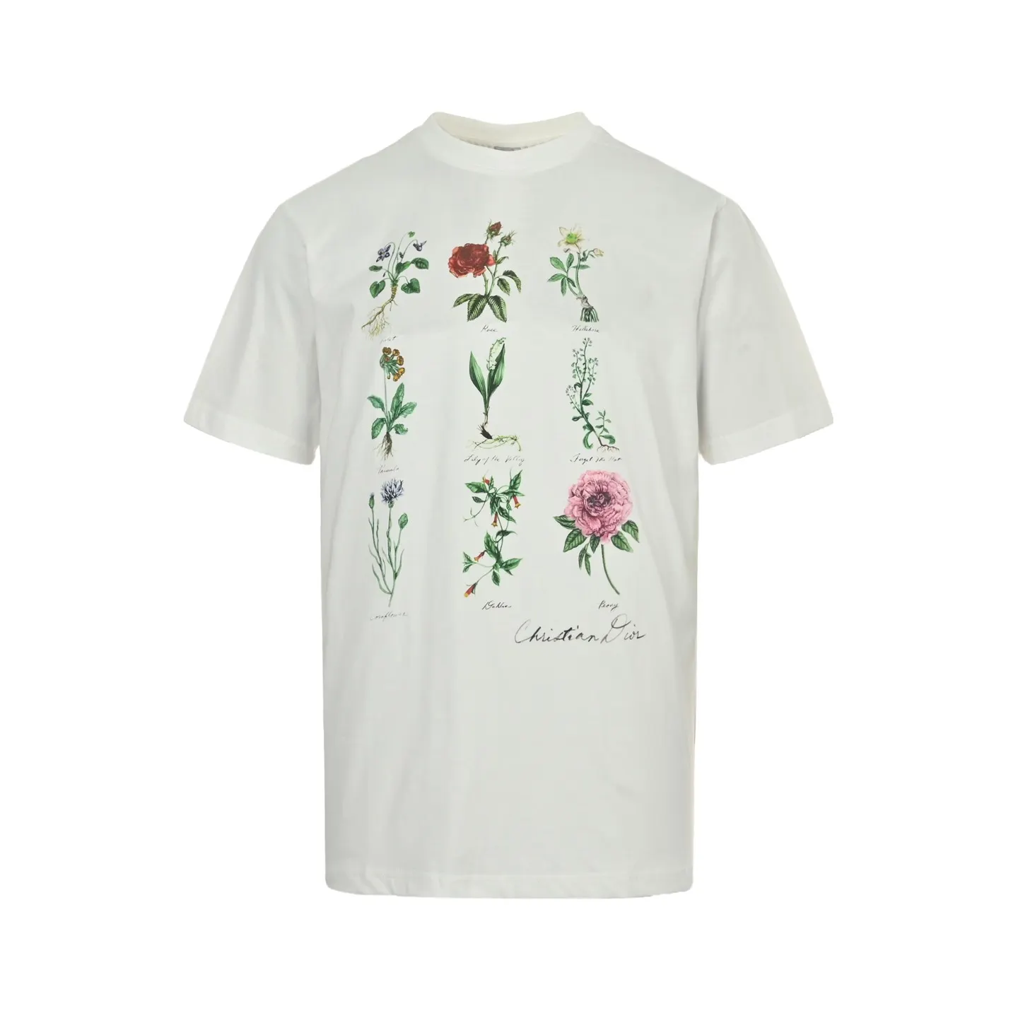e075adc7c6d9267912d783accefb1dfb.webp High Quality Dior T-shirt - Image 1