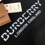 Best Burberry Hoodie - Image 6