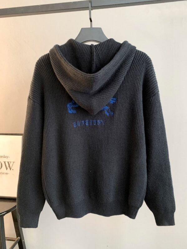 Best Burberry Hoodie - Image 3