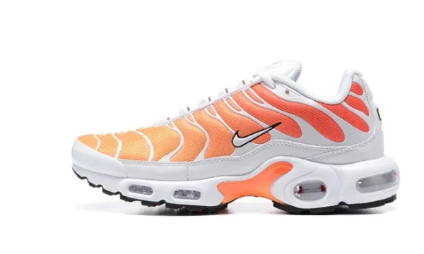 Orange Stripted - Image 2