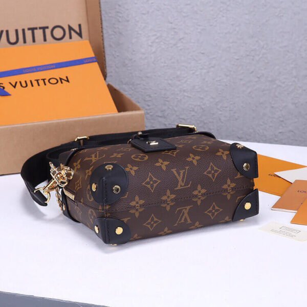 LV Petite Malle Souple Handbag - Image 5