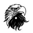 eagle_resized_with_bg.jpg