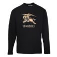 Best Burberry Hoodie