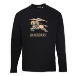 Best Burberry Hoodie