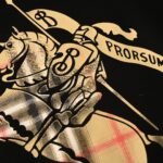 Best Burberry Hoodie - Image 5