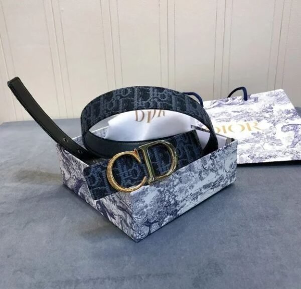 High Quilty Dior Belt - Image 6