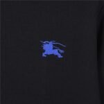 Best Burberry Hoodie - Image 7