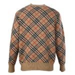 Best Burberry Hoodie - Image 3