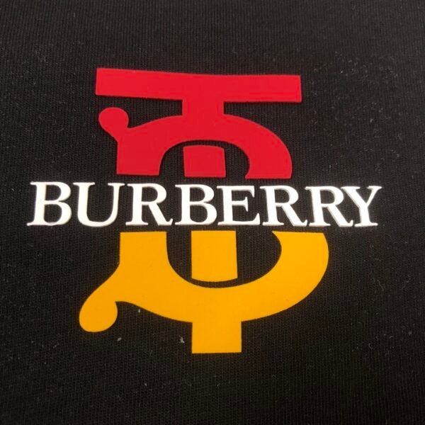 Best Burberry Hoodie - Image 4