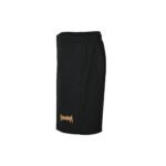 High Quality Balenciaga Short - Image 4