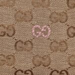 Best Gucci Short - Image 10